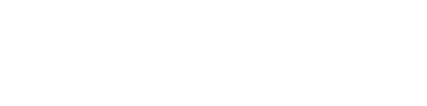 E-Zinc